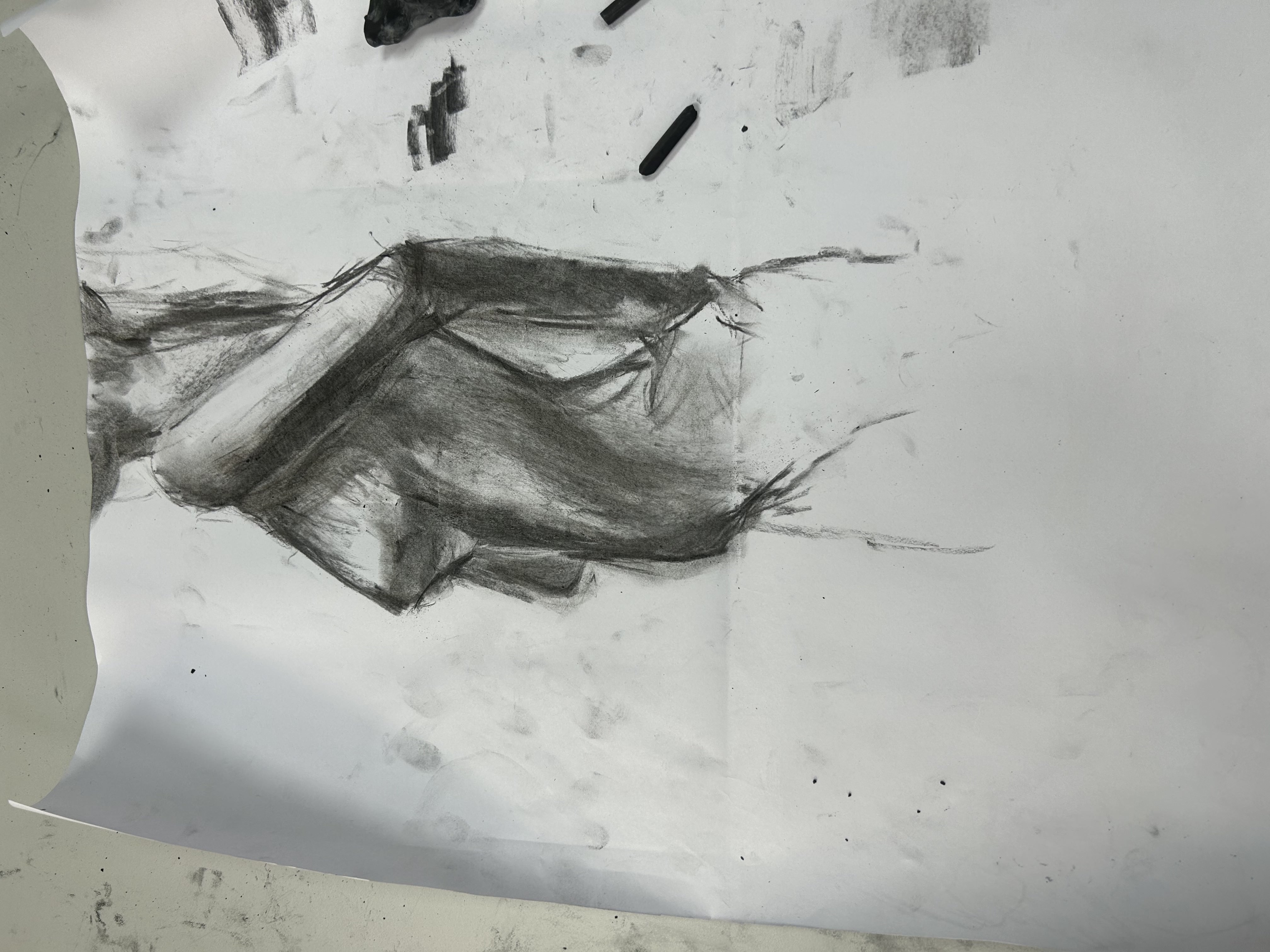 (signed) This Is Not What Thought / Yuri Hasegawa